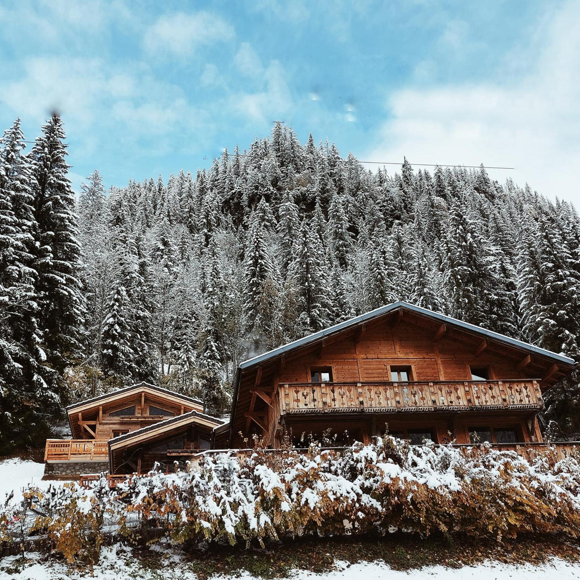 Savoya Lodges Châtel Екстериор снимка